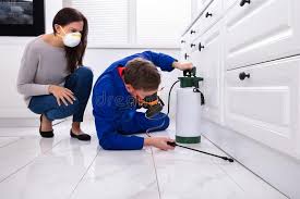 Best Real Estate Pest Inspections  in Balm, FL